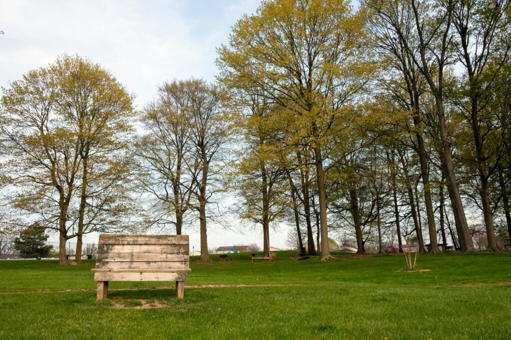 Wooden bench with gorgeous view at public park